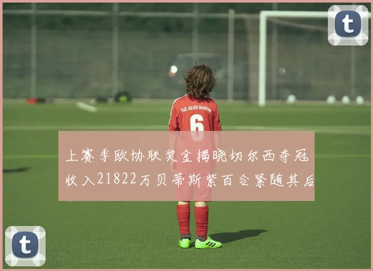 上赛季欧协联奖金揭晓切尔西夺冠收入21822万贝蒂斯紫百合紧随其后
