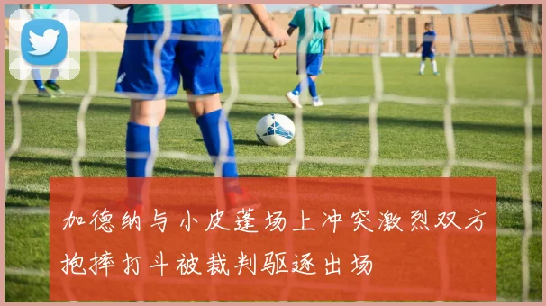 加德纳与小皮蓬场上冲突激烈双方抱摔打斗被裁判驱逐出场