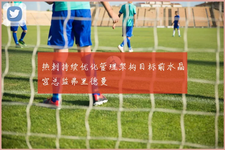 热刺持续优化管理架构目标前水晶宫总监弗里德曼