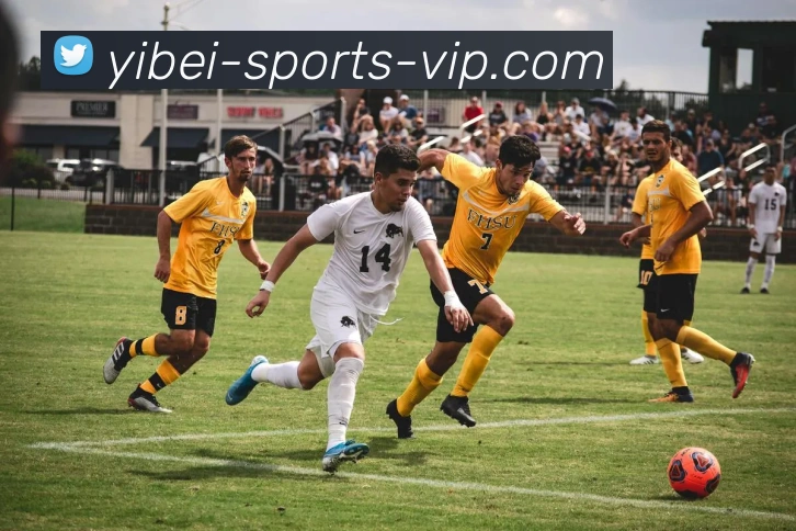 多媒体互动体验