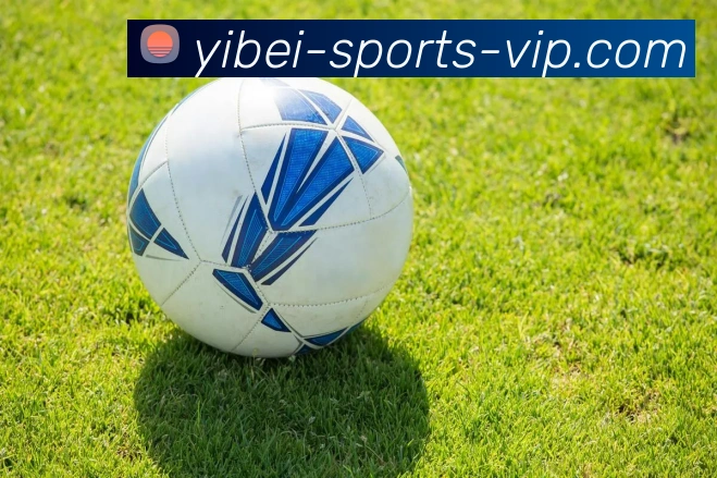 易倍体育APP 体育赛事宣传图